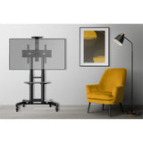 TV  stand