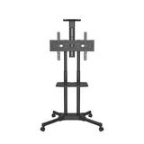 TV  stand